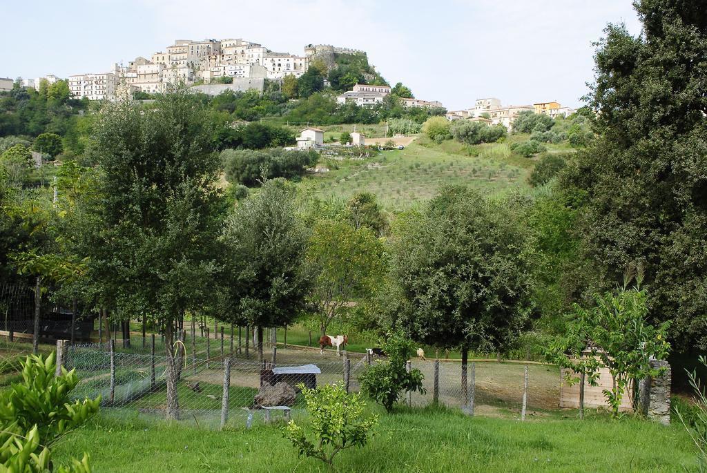 בלבדרה מריטימו Agriturismo L'Arca Di Anna Brambilla מראה חיצוני תמונה