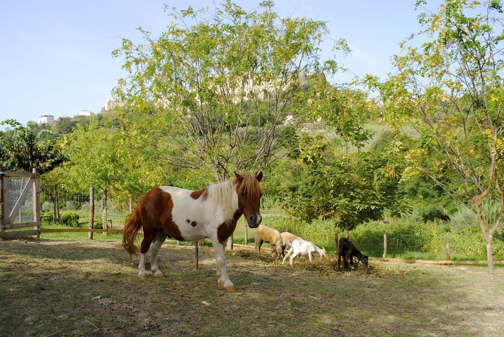 בלבדרה מריטימו Agriturismo L'Arca Di Anna Brambilla מראה חיצוני תמונה
